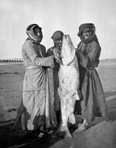 Civil Arabs with a Large Fish, 1914-18 by English Photographer